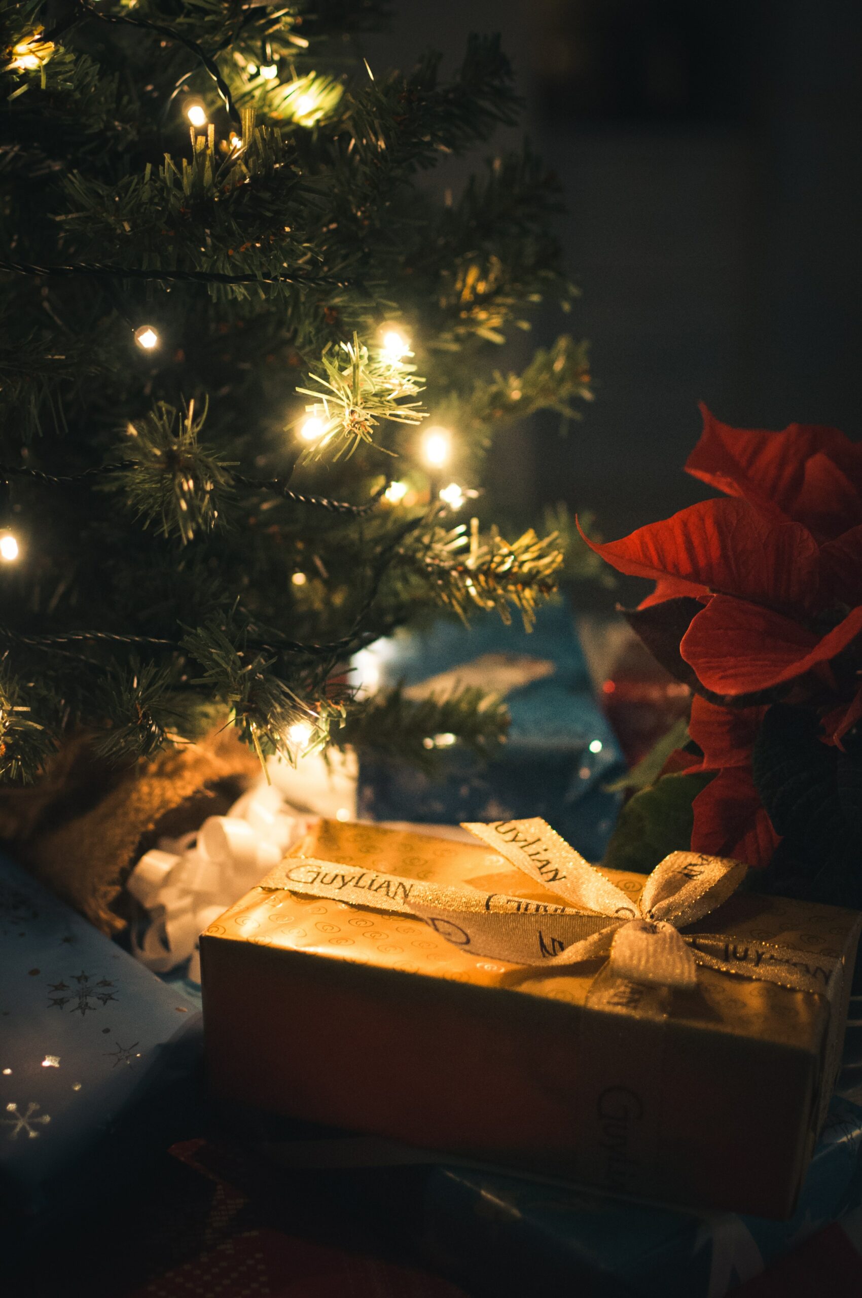 9 Tolle Weihnachtsgeschenke für Ihn! + MONTREAL CLASSIC SCHWARZE LEDER LAPTOPTASCHE